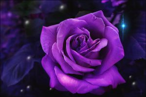 Embracing Self-Care: The Power of Putting Yourself First and Letting Go of Guilt
