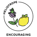 Essential Oil Blend Encouraging (Verbena Lemon)